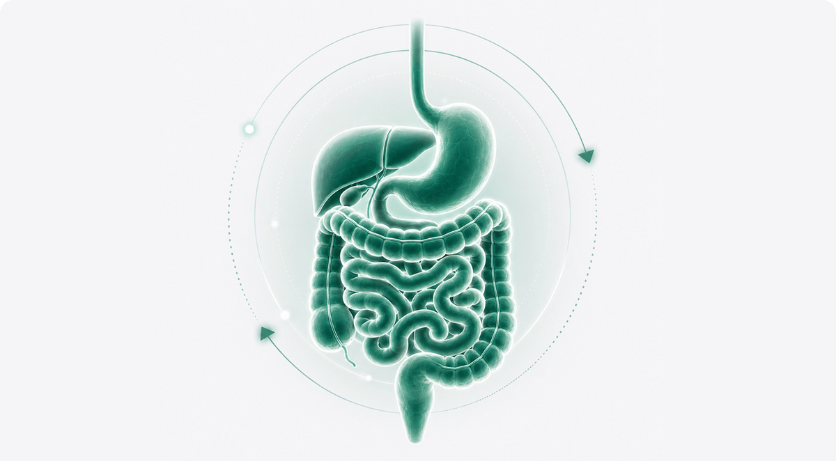 Support your gut’s natural defences.