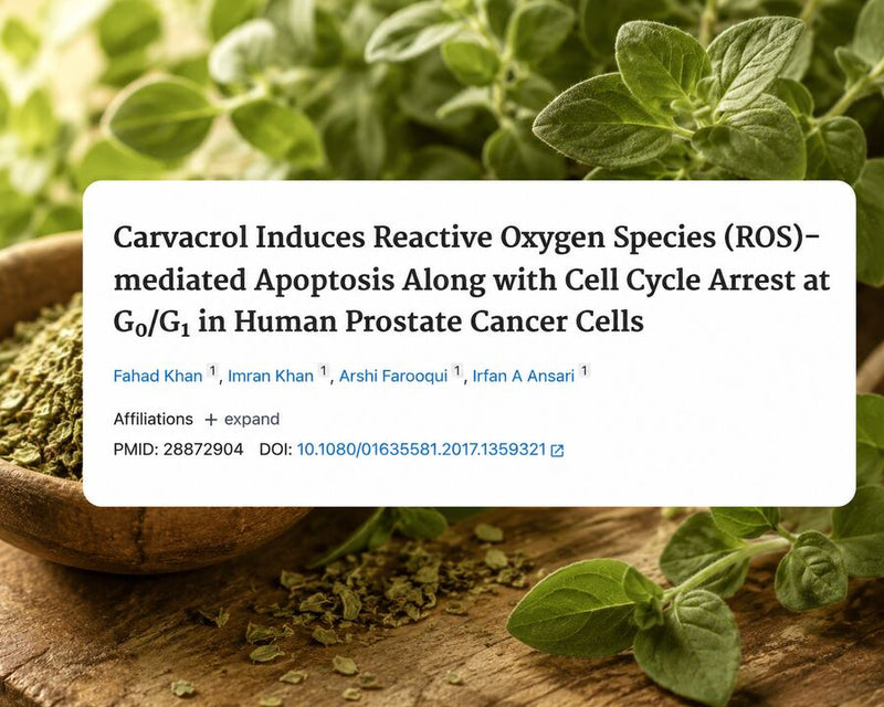 Carvacrol study on human prostate cells