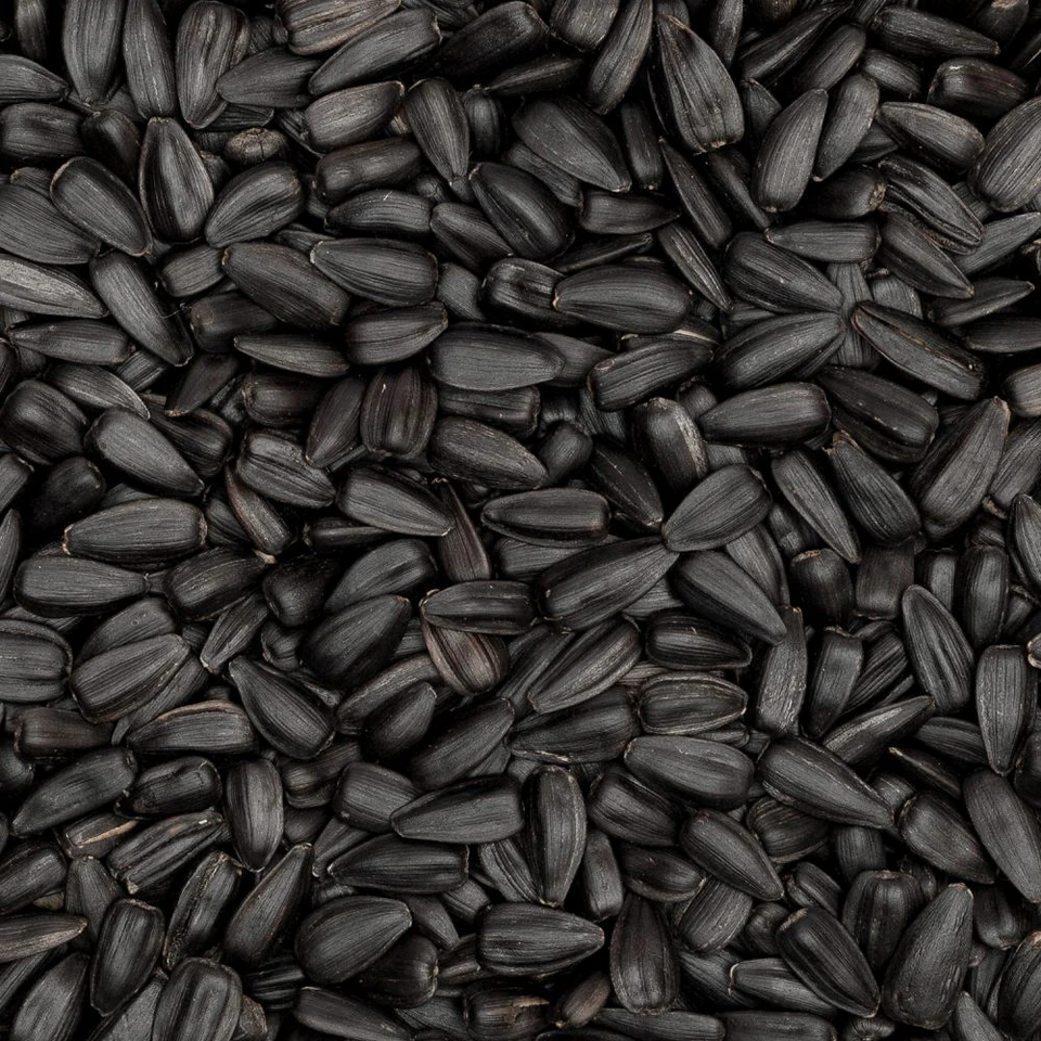 Apoyo del aceite de semilla negra