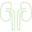 Healthy Kidney Function